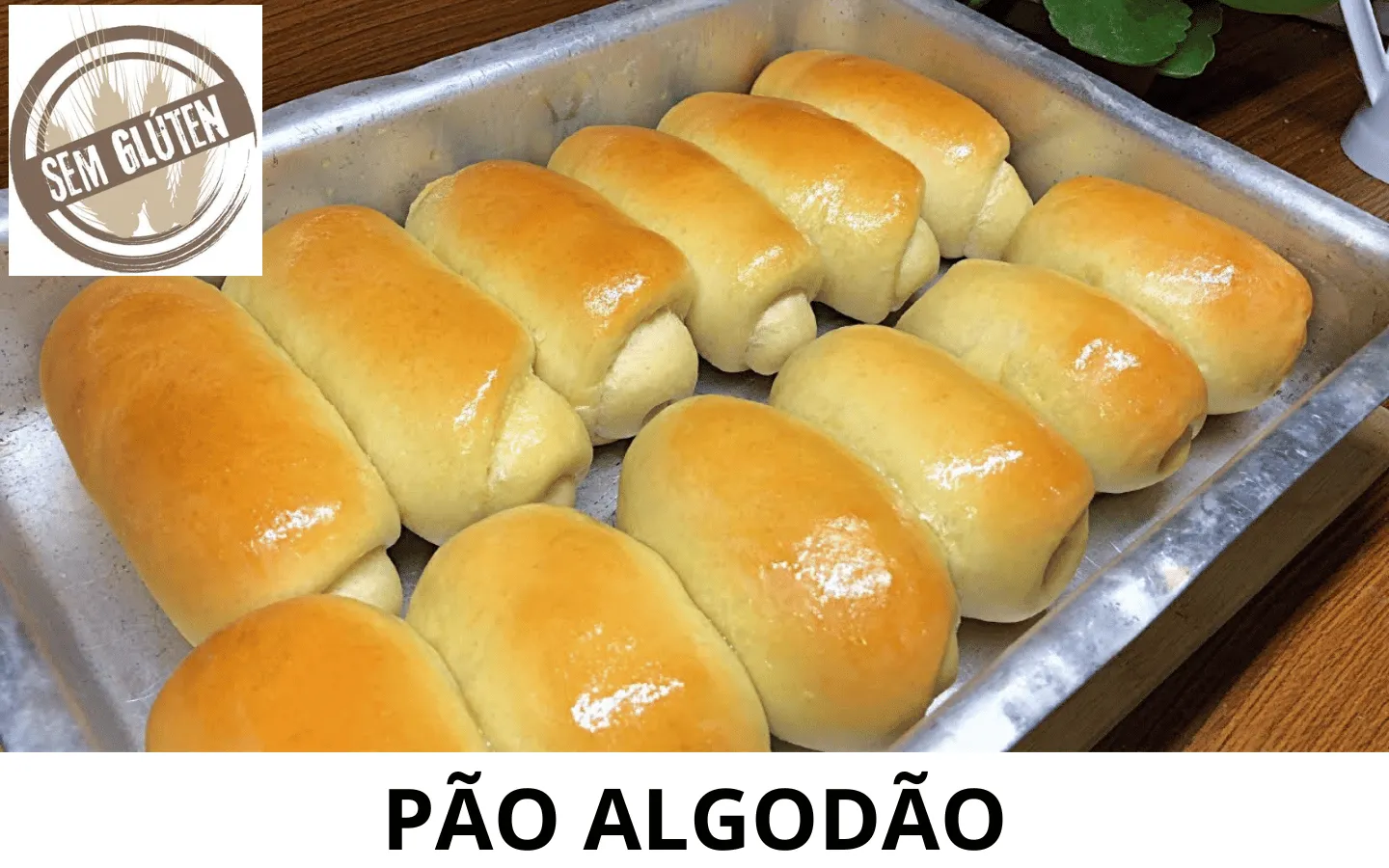 3_3_11zon.webp
